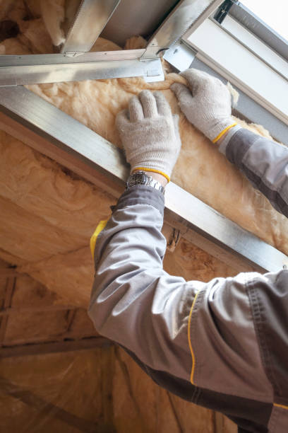 Range of Insulation Solutions in Zephyrhills South, FL