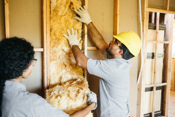 Professional Insulation Contractor in Zephyrhills South, FL